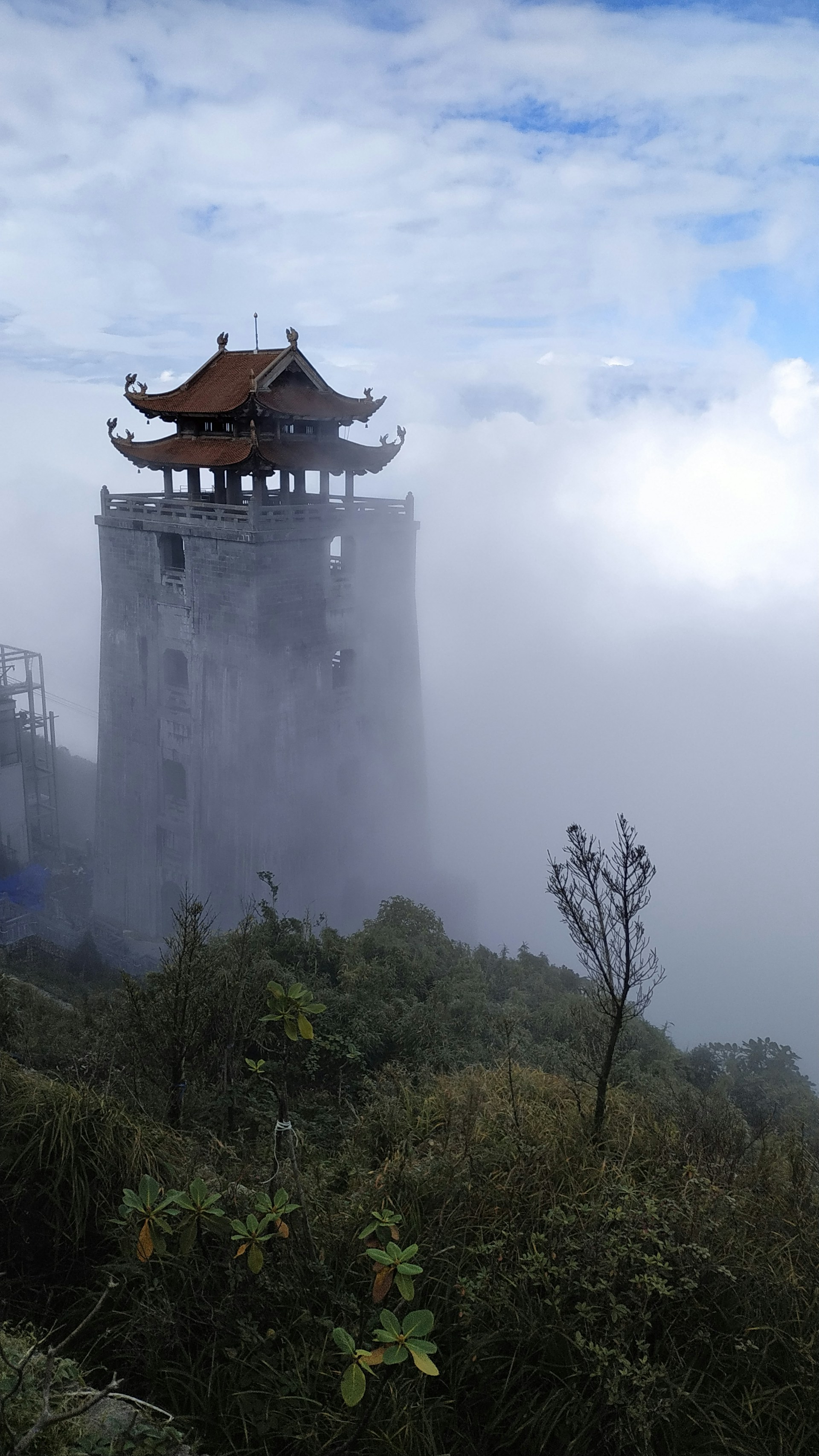 云深不知处